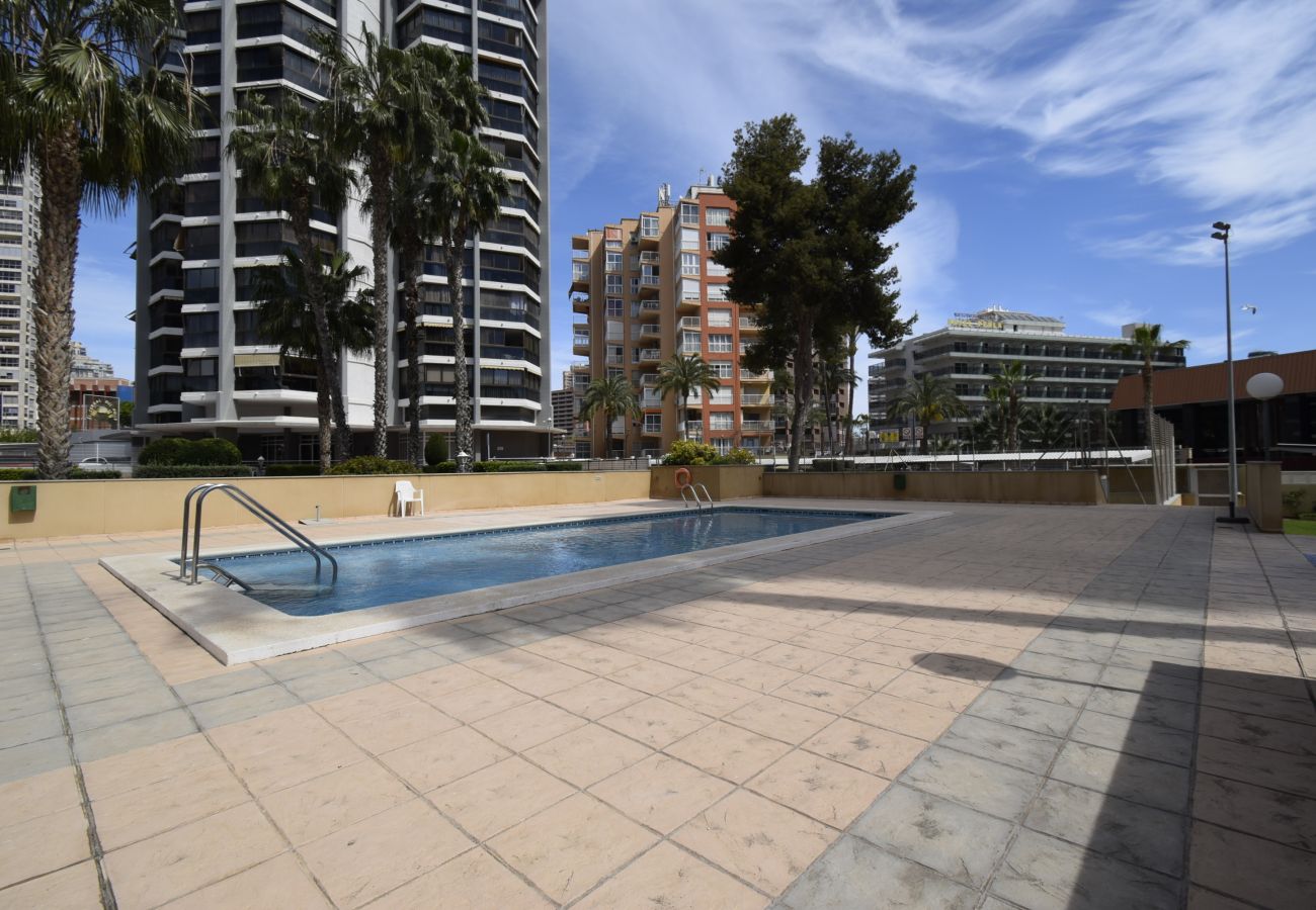 Apartamento en Benidorm - GEMELOS 23 6C
