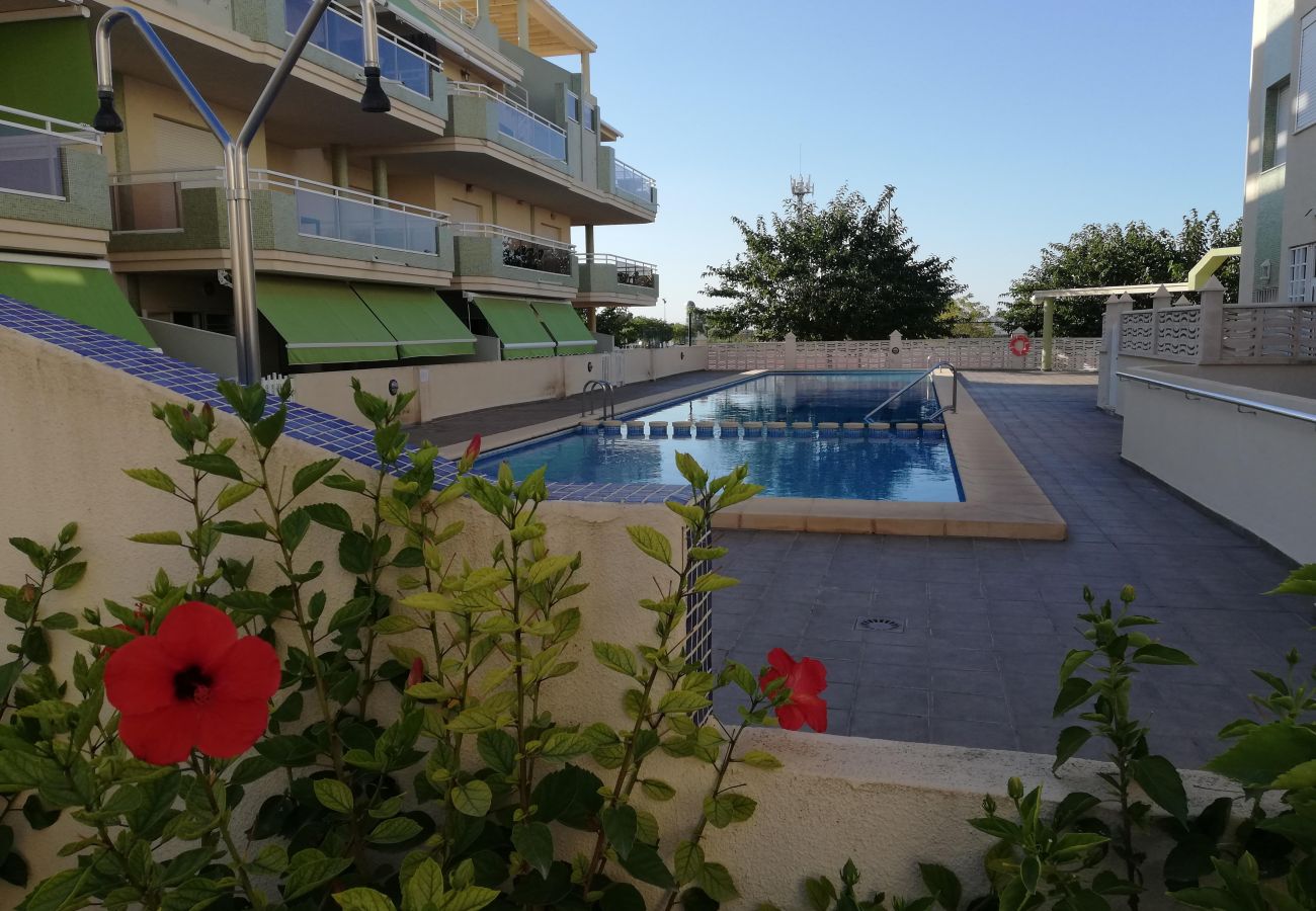 Apartamento en Xeraco Playa - Delfines V bl.I esc.III 2º pta.6