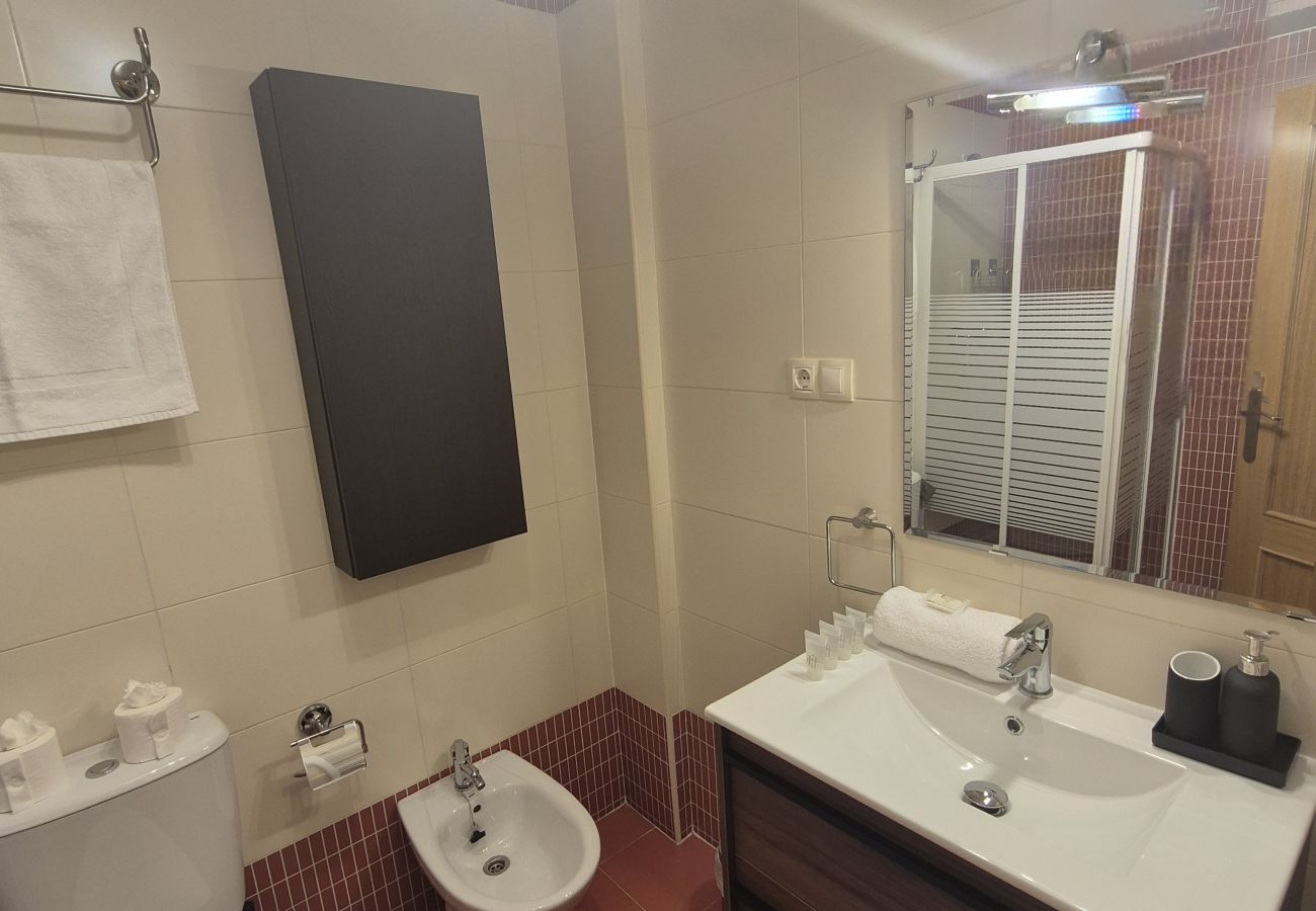 Apartamento en Aller - 21A07 Apartamento en Felechosa