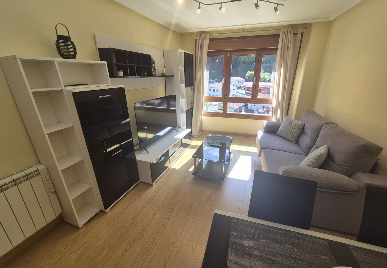 Apartamento en Aller - 21A07 Apartamento en Felechosa