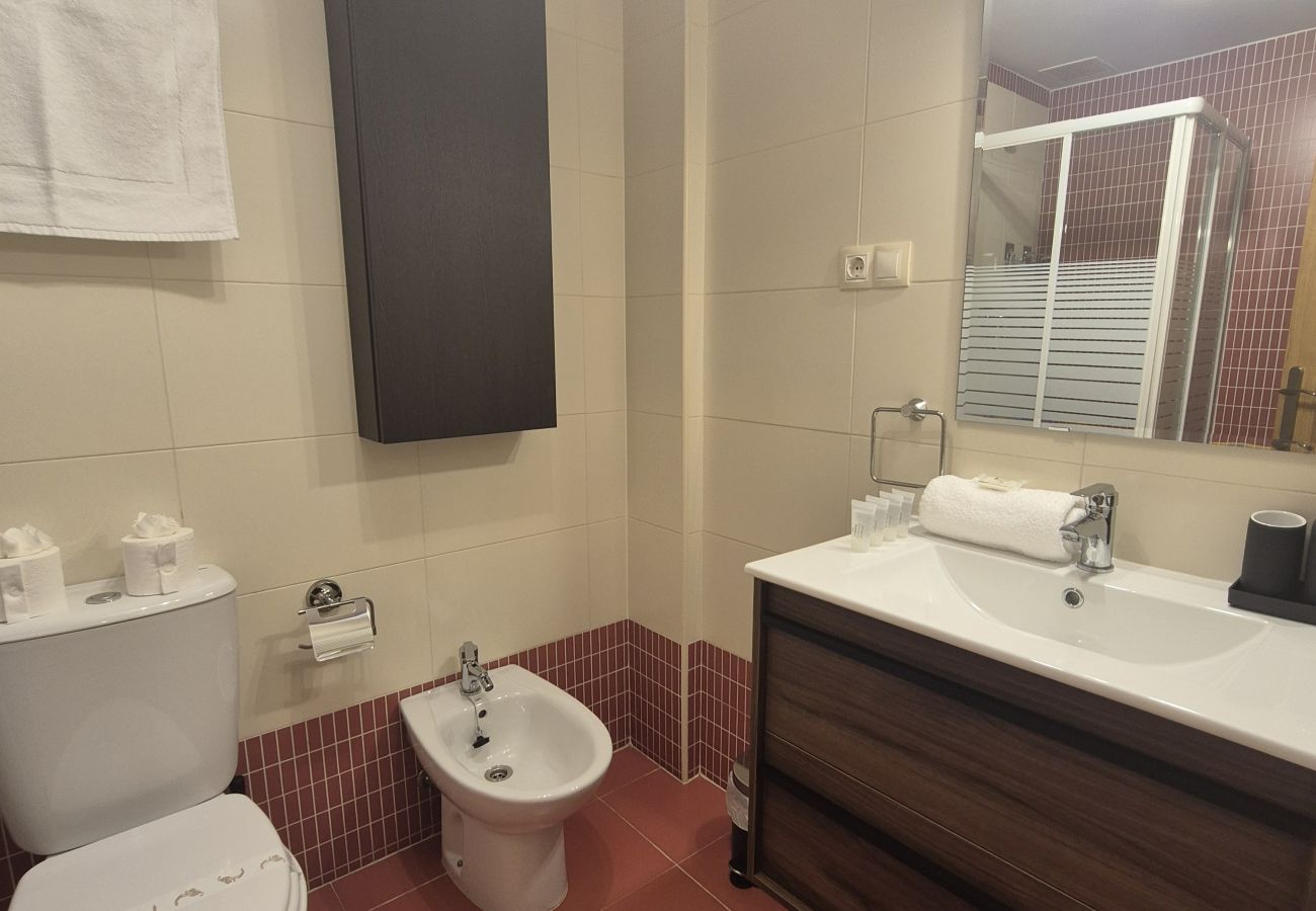 Apartamento en Aller - 21A07 Apartamento en Felechosa