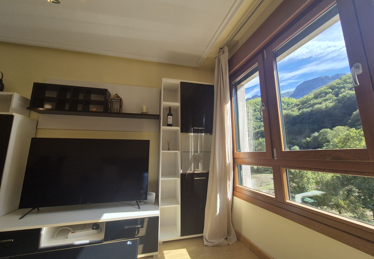 Apartamento en Aller - 21A07 Apartamento en Felechosa