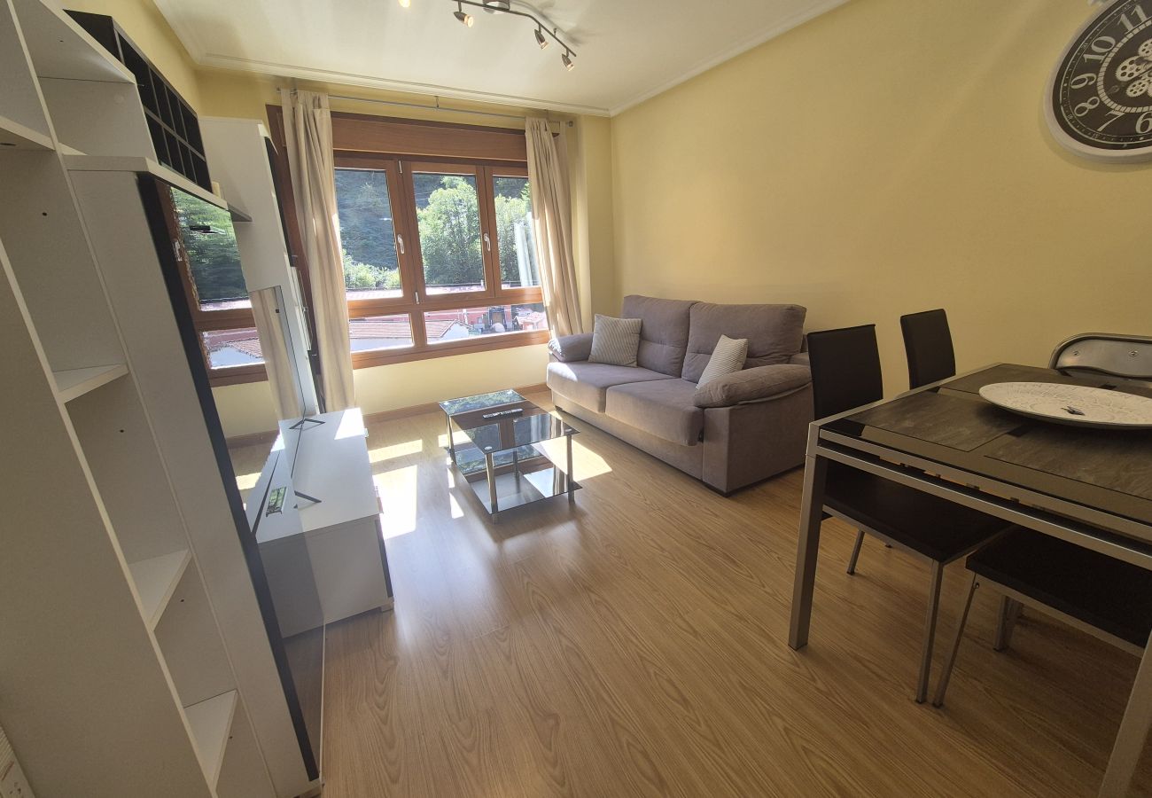 Apartamento en Aller - 21A07 Apartamento en Felechosa