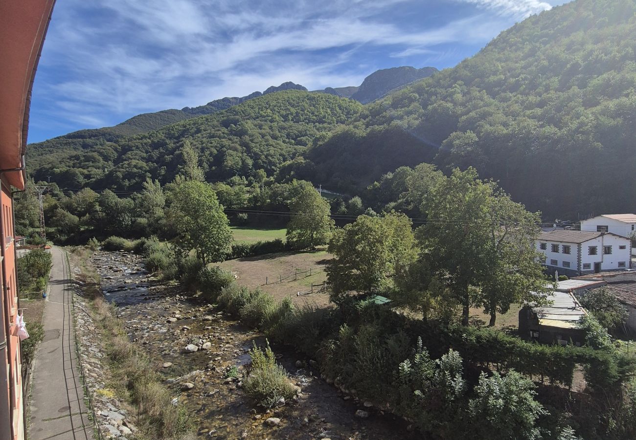 Apartamento en Aller - 21A07 Apartamento en Felechosa