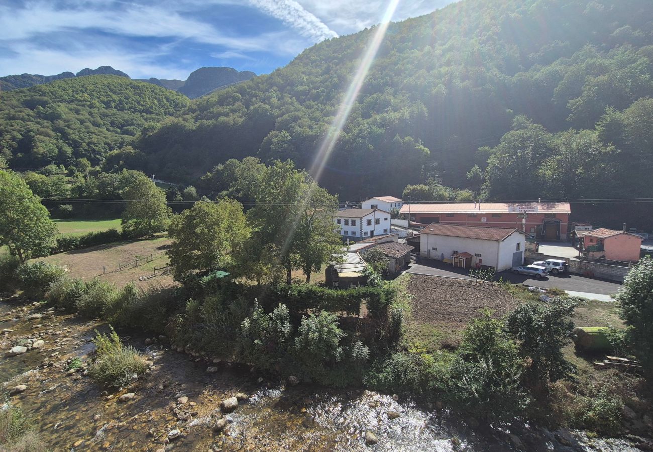 Apartamento en Aller - 21A07 Apartamento en Felechosa