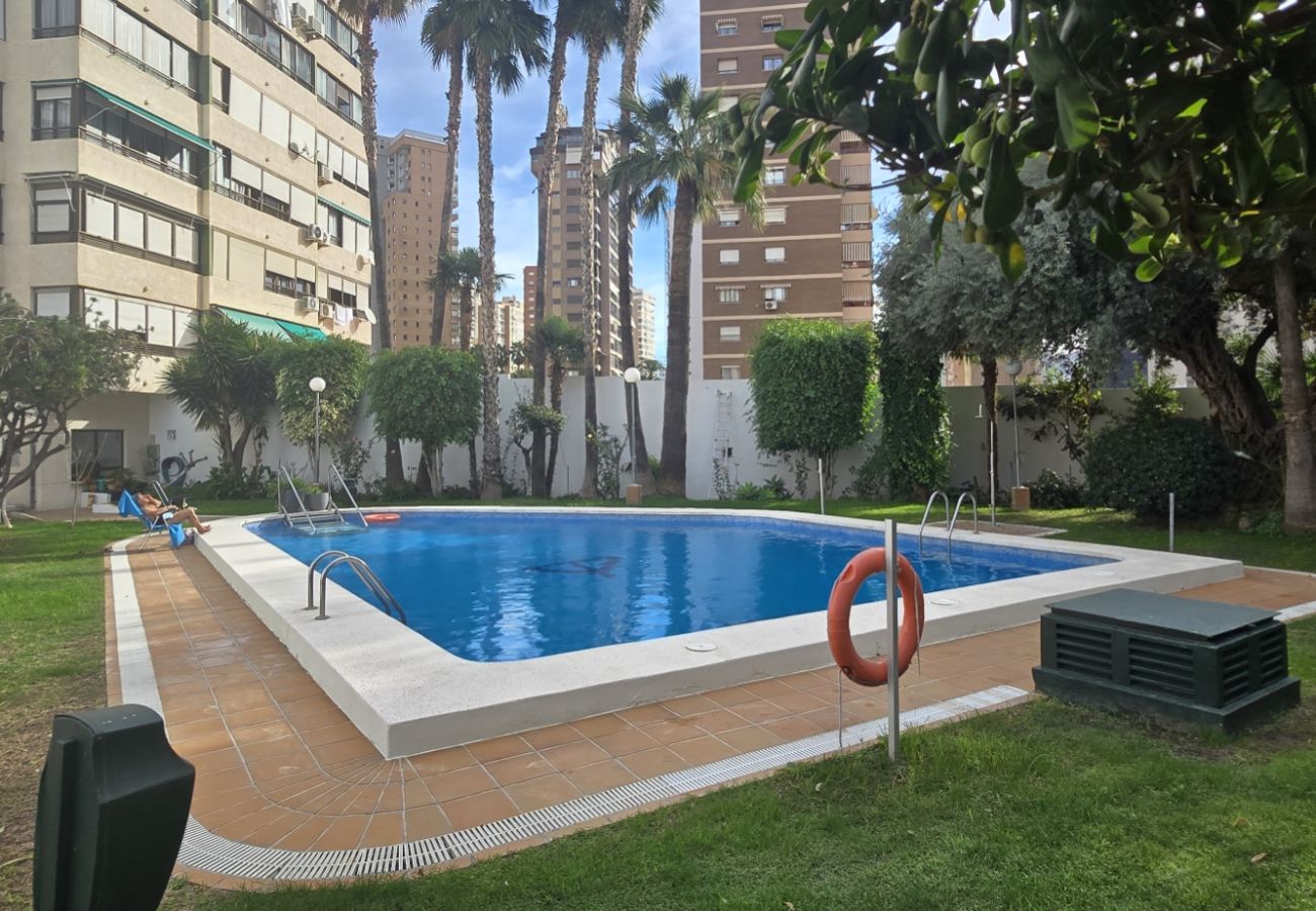 Apartamento en Benidorm - GEMELOS 5 4C