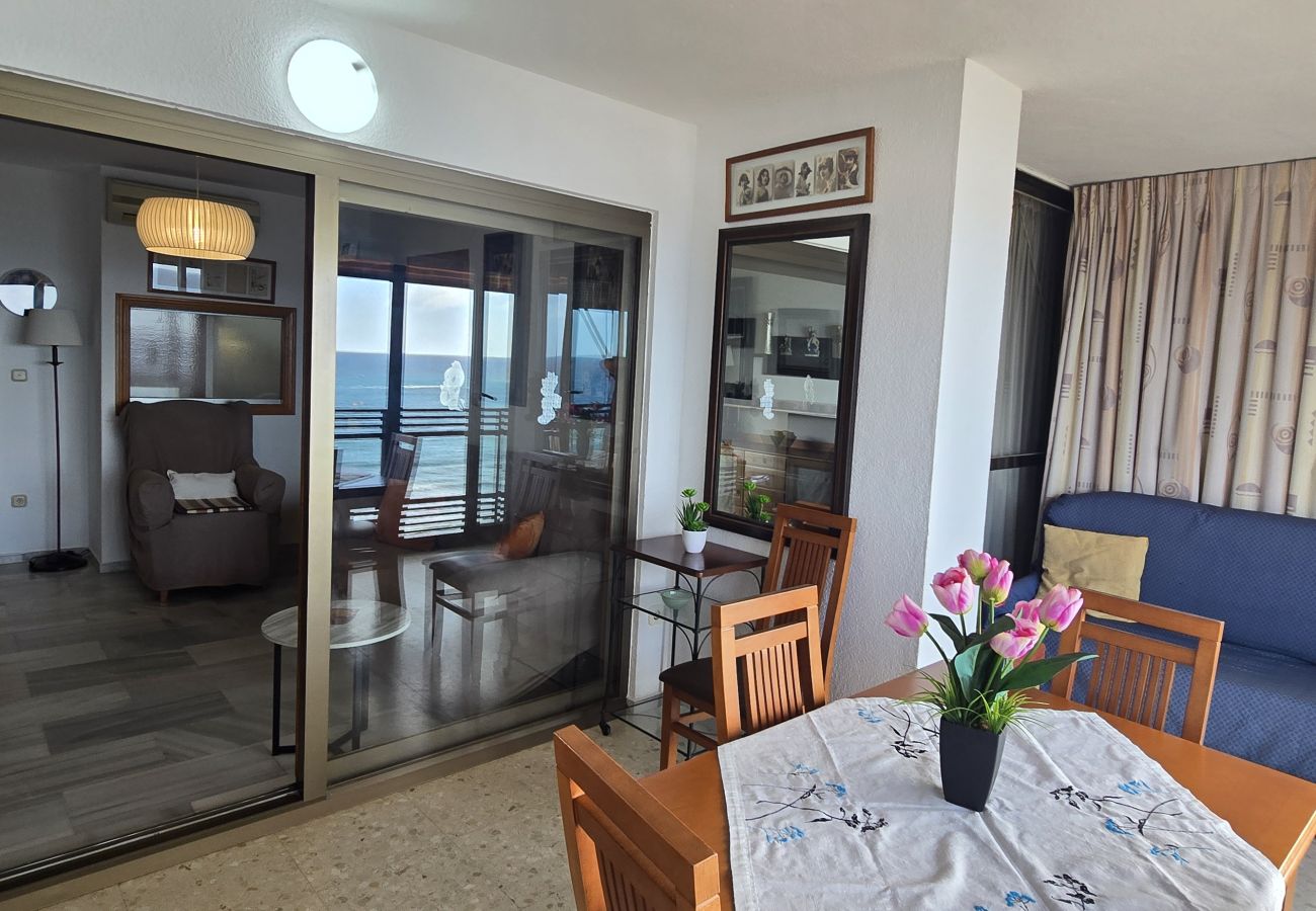 Apartamento en Benidorm - CACHIRULO 6D