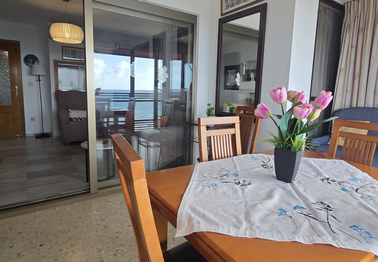 Apartamento en Benidorm - CACHIRULO 6D