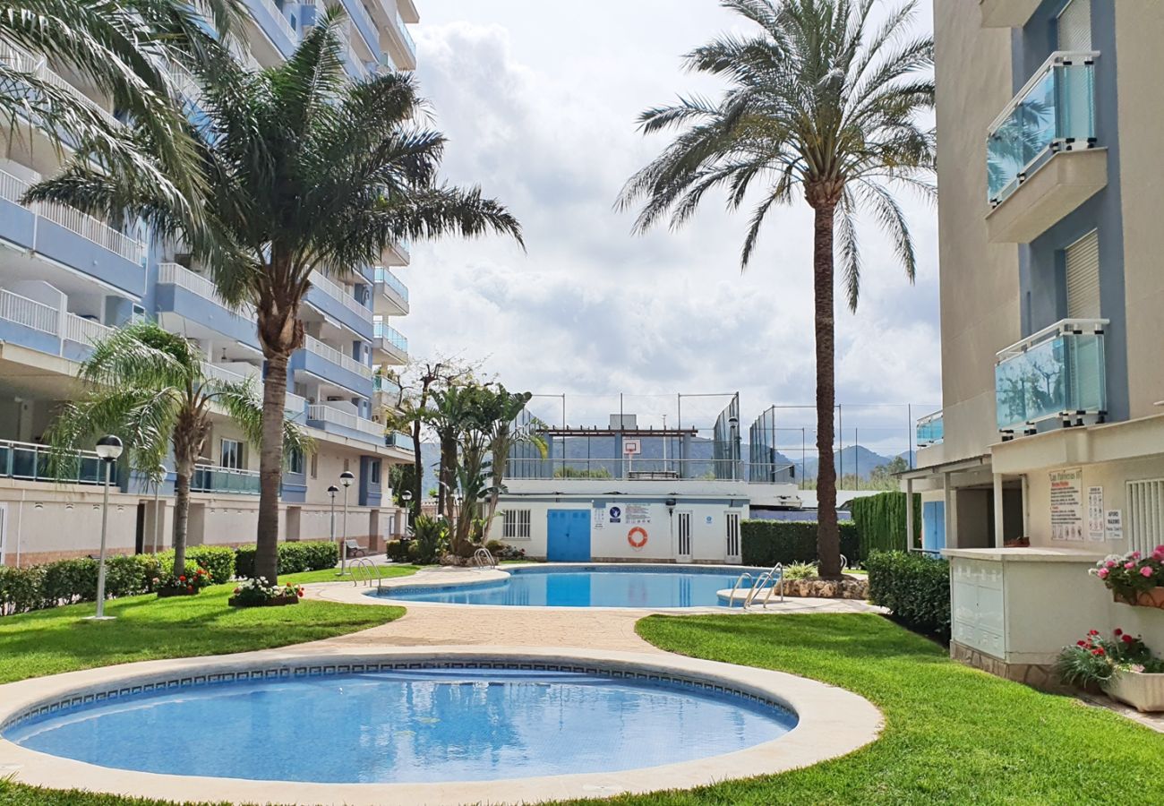 Apartamento en Gandia - PALMERAS III - BL 2 - 1ª - 1º - A