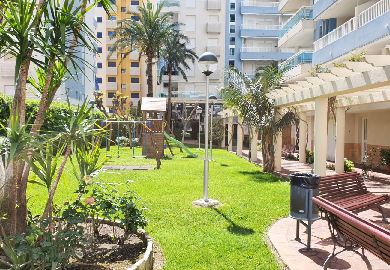 Apartamento en Gandia - PALMERAS III - BL 2 - 1ª - 1º - A