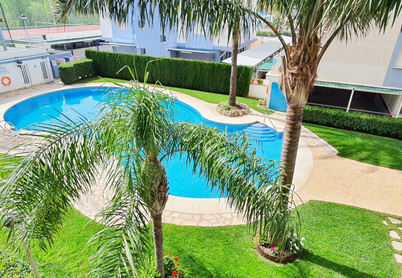 Apartamento en Gandia - PALMERAS III - BL 2 - 1ª - 1º - A