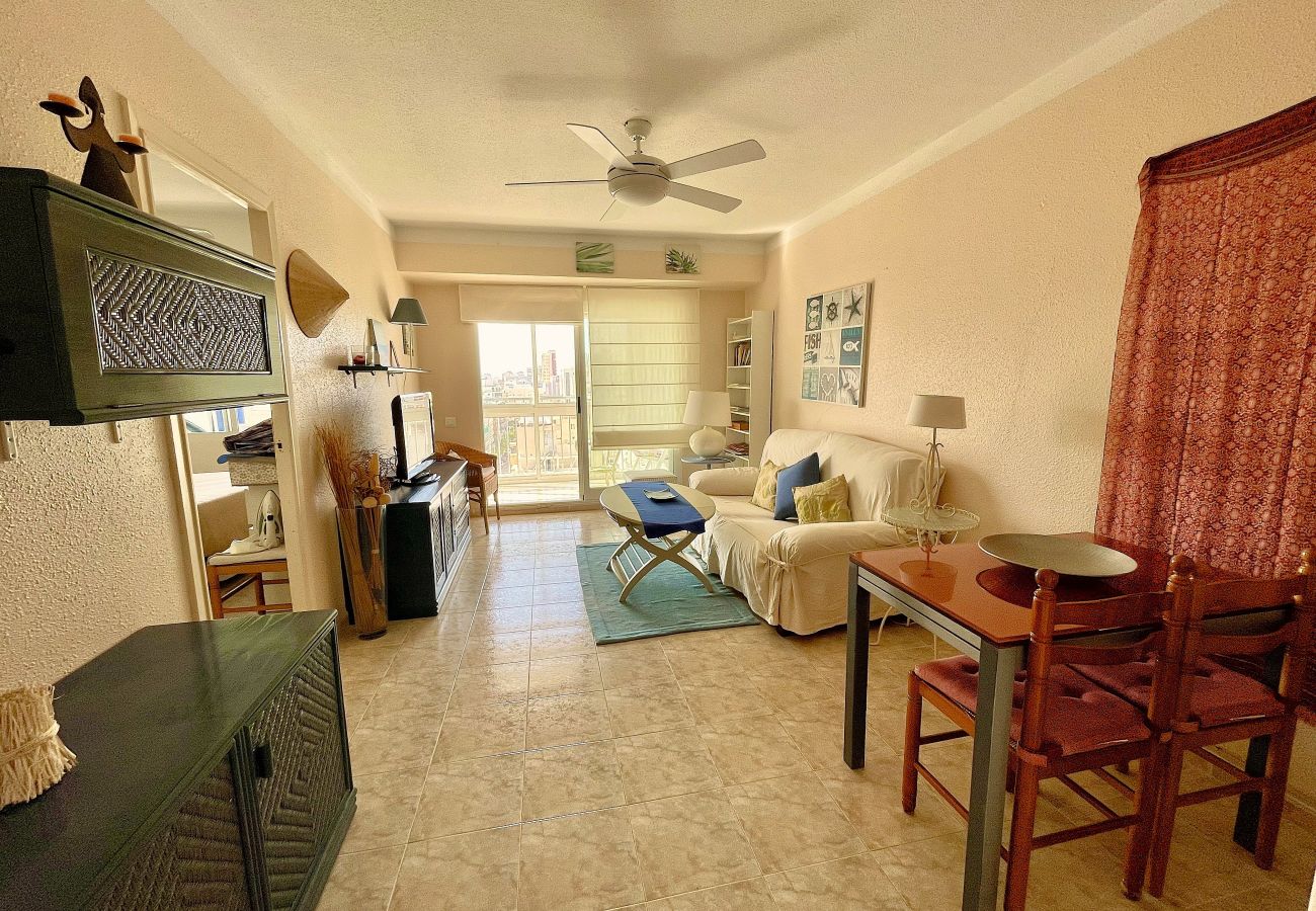 Apartamento en Playa de Gandía - 1.Bonaire D-8º
