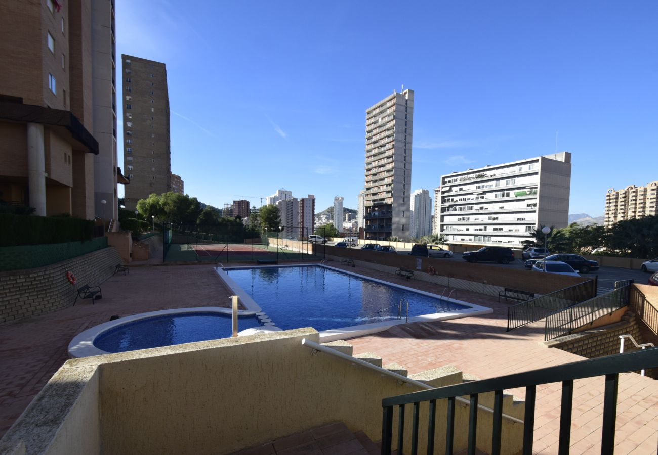Estudio en Benidorm - COBLANCA 29 - T2  16-5
