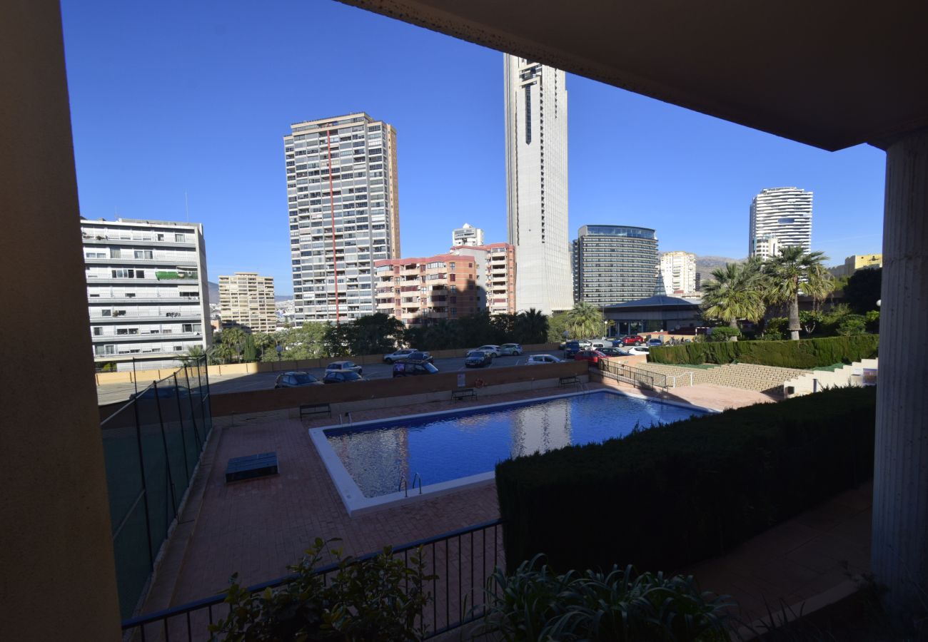 Estudio en Benidorm - COBLANCA 29 - T2  16-5