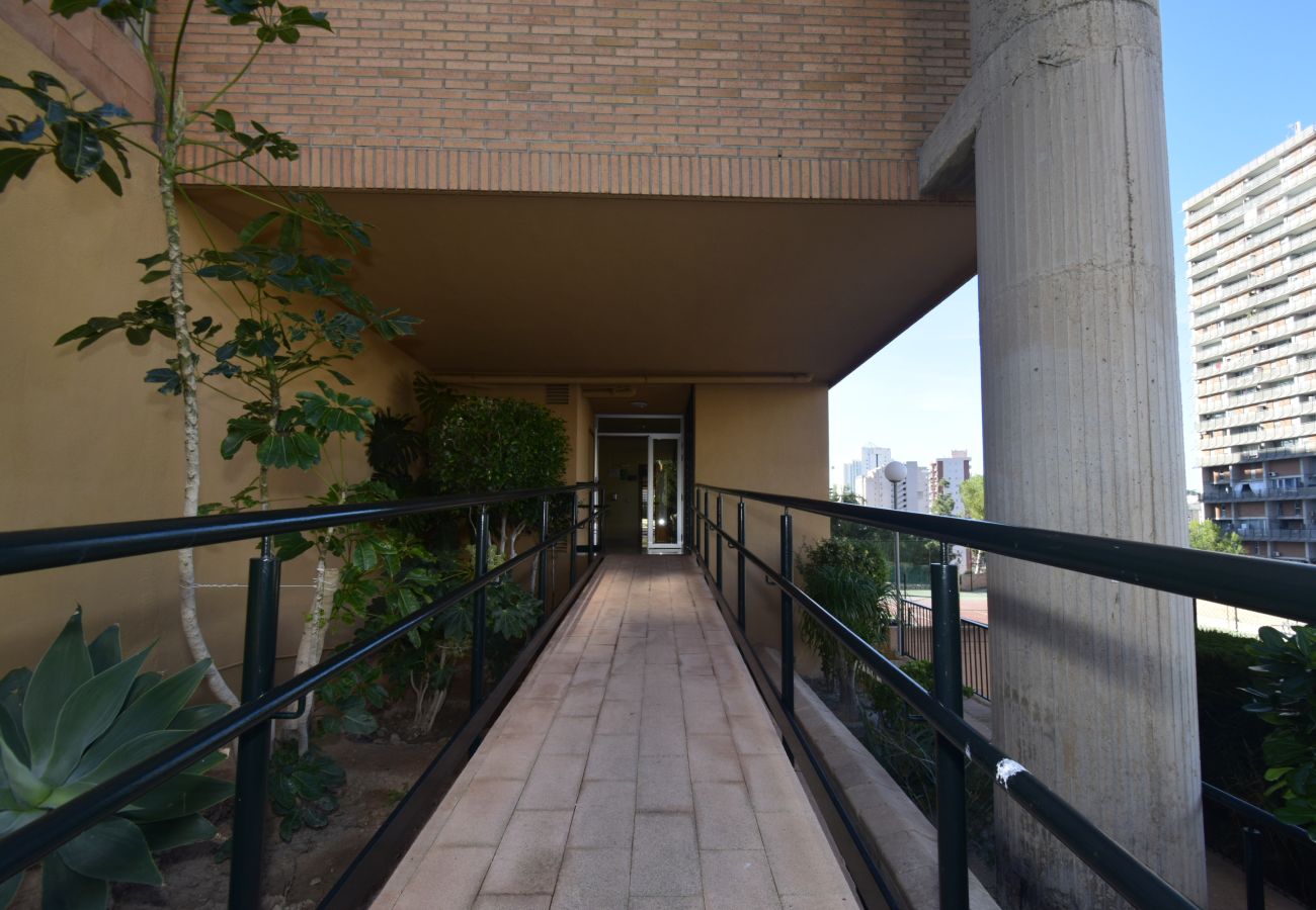 Estudio en Benidorm - COBLANCA 29 - T2  16-5