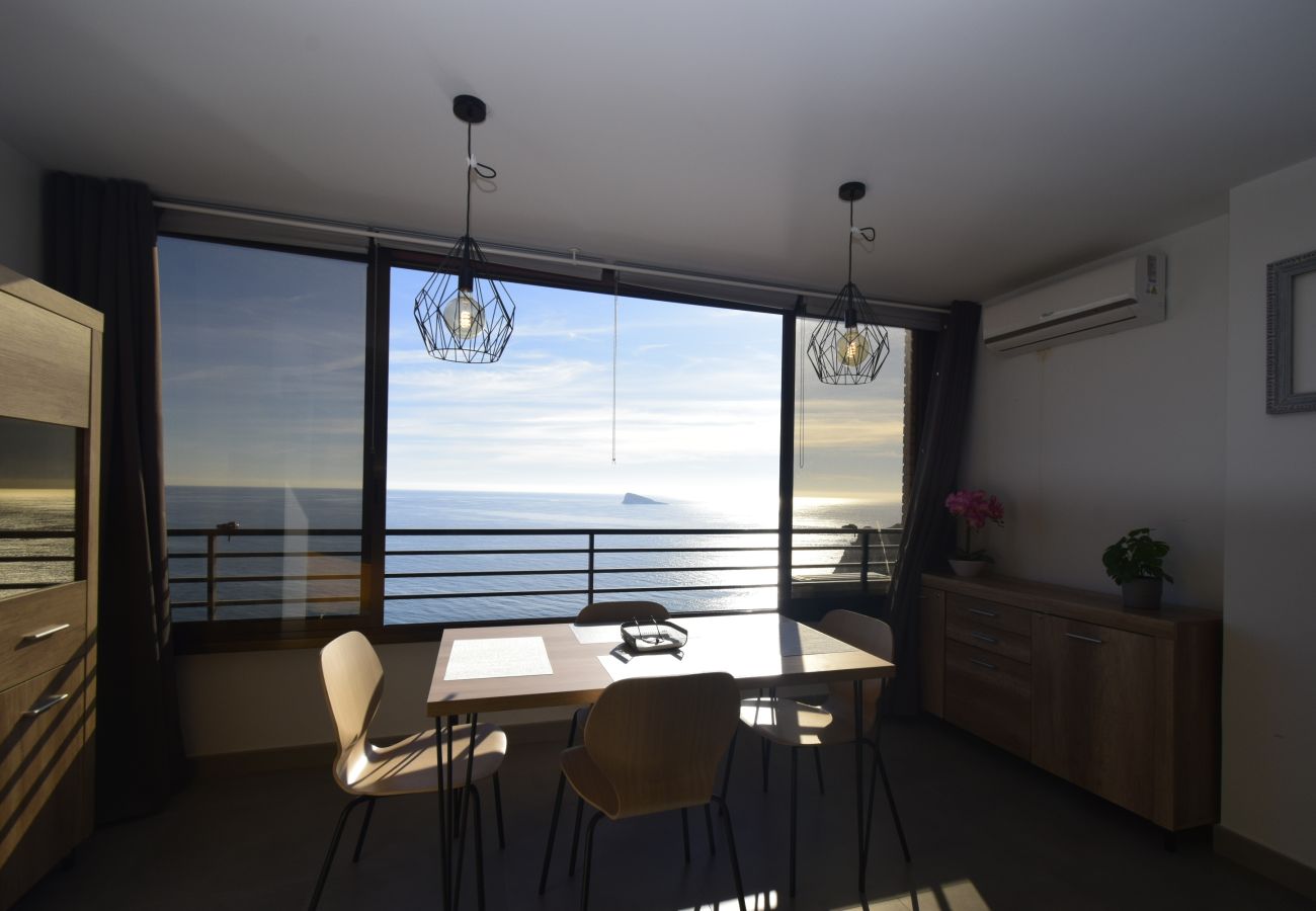 Estudio en Benidorm - COBLANCA 29 - T2  16-5
