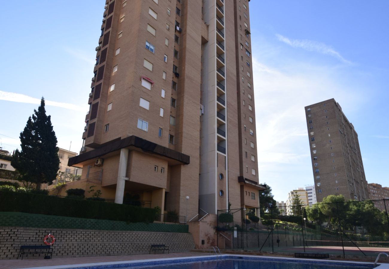 Estudio en Benidorm - COBLANCA 29 - T2  16-5