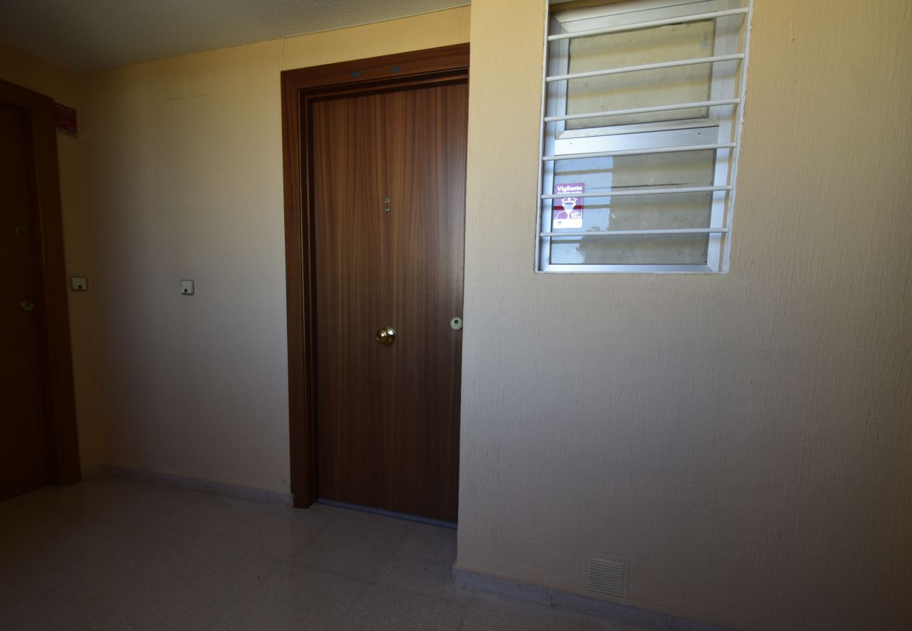 Estudio en Benidorm - COBLANCA 29 - T2  16-5