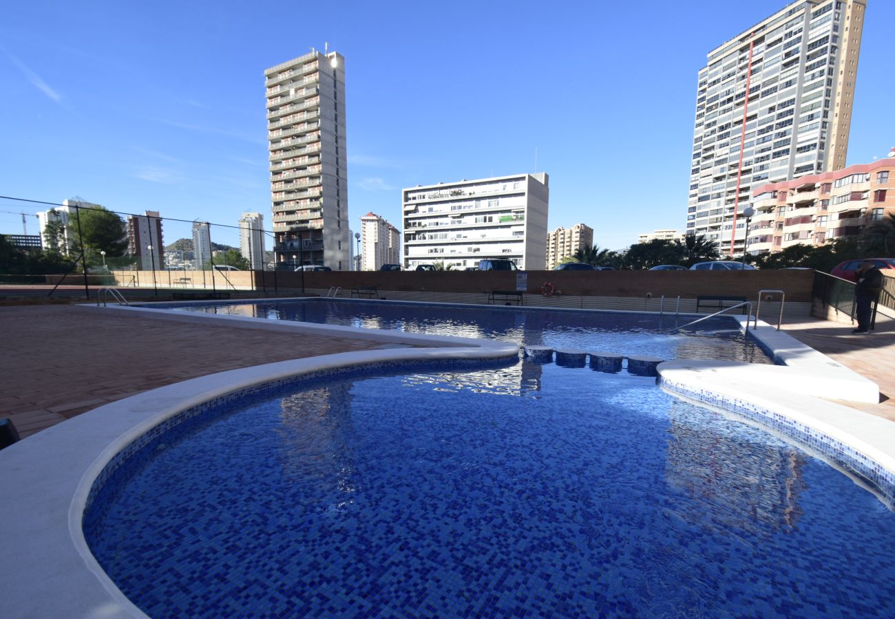 Estudio en Benidorm - COBLANCA 29 - T2  16-5