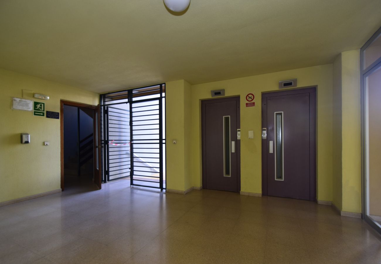 Estudio en Benidorm - COBLANCA 29 - T2  16-5