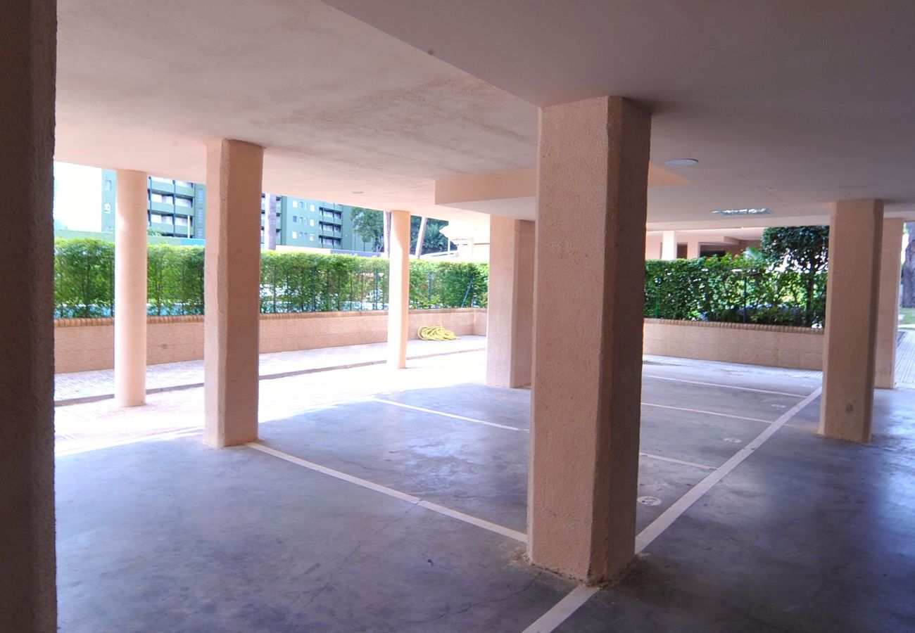 Apartamento en Benicàssim - PINARLANDIA D-8-4