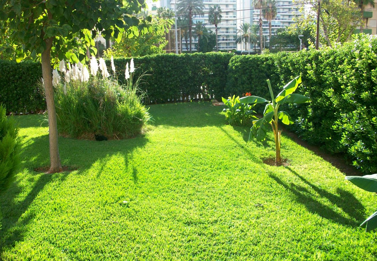 Apartamento en Gandia - DON CHIMO 2º - 10