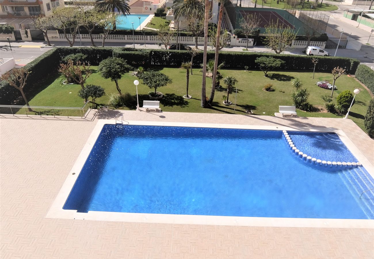 Apartamento en Gandia - DON CHIMO 2º - 10