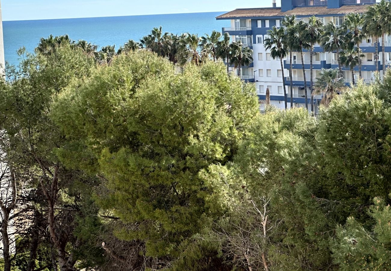 Apartamento en Miramar Playa - EUROPA I - C - 6º - DCHA
