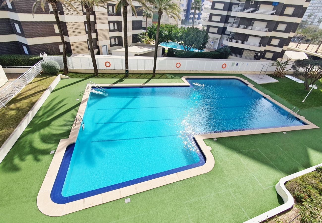 Apartamento en Gandia - AGUAMARINA 4ª - 2 - IZQ