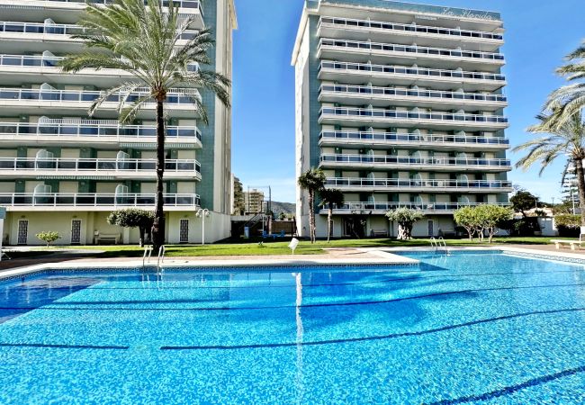 Apartamento en Gandia - LA FLORIDA 3ª - 9º - 18