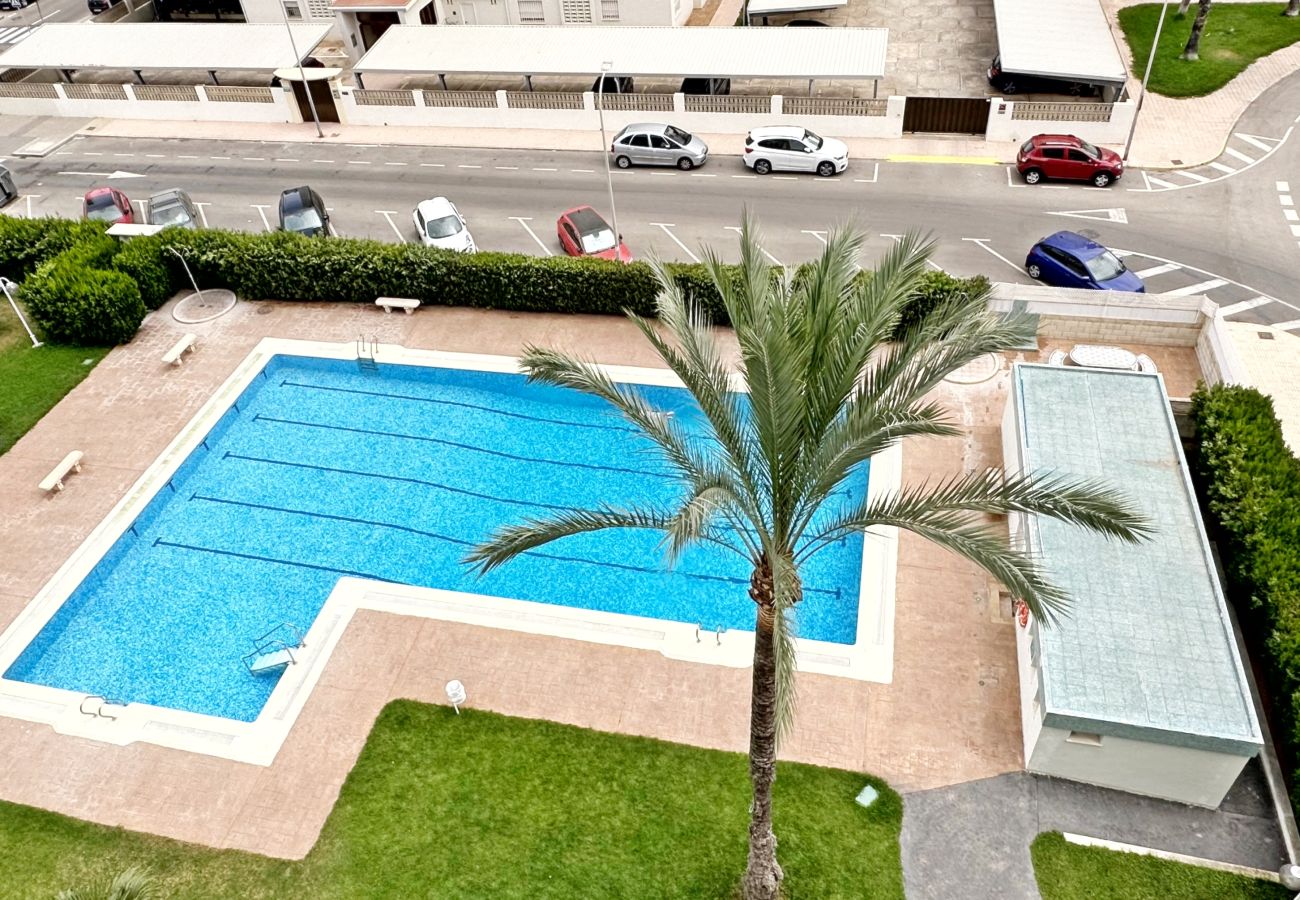 Apartamento en Gandia - LA FLORIDA 3ª - 9º - 18