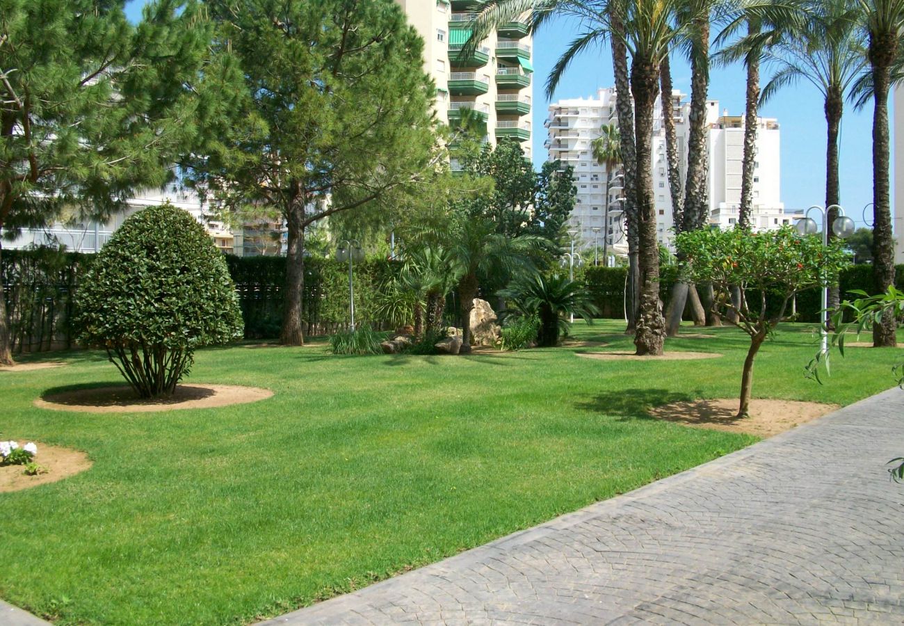 Apartamento en Gandia - LA FLORIDA 3ª - 9º - 18
