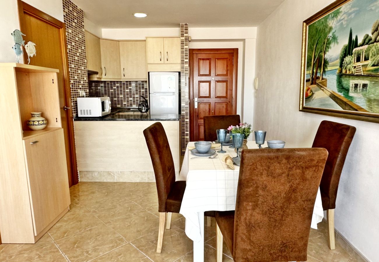 Apartamento en Gandia - INFANTE E6 - 13