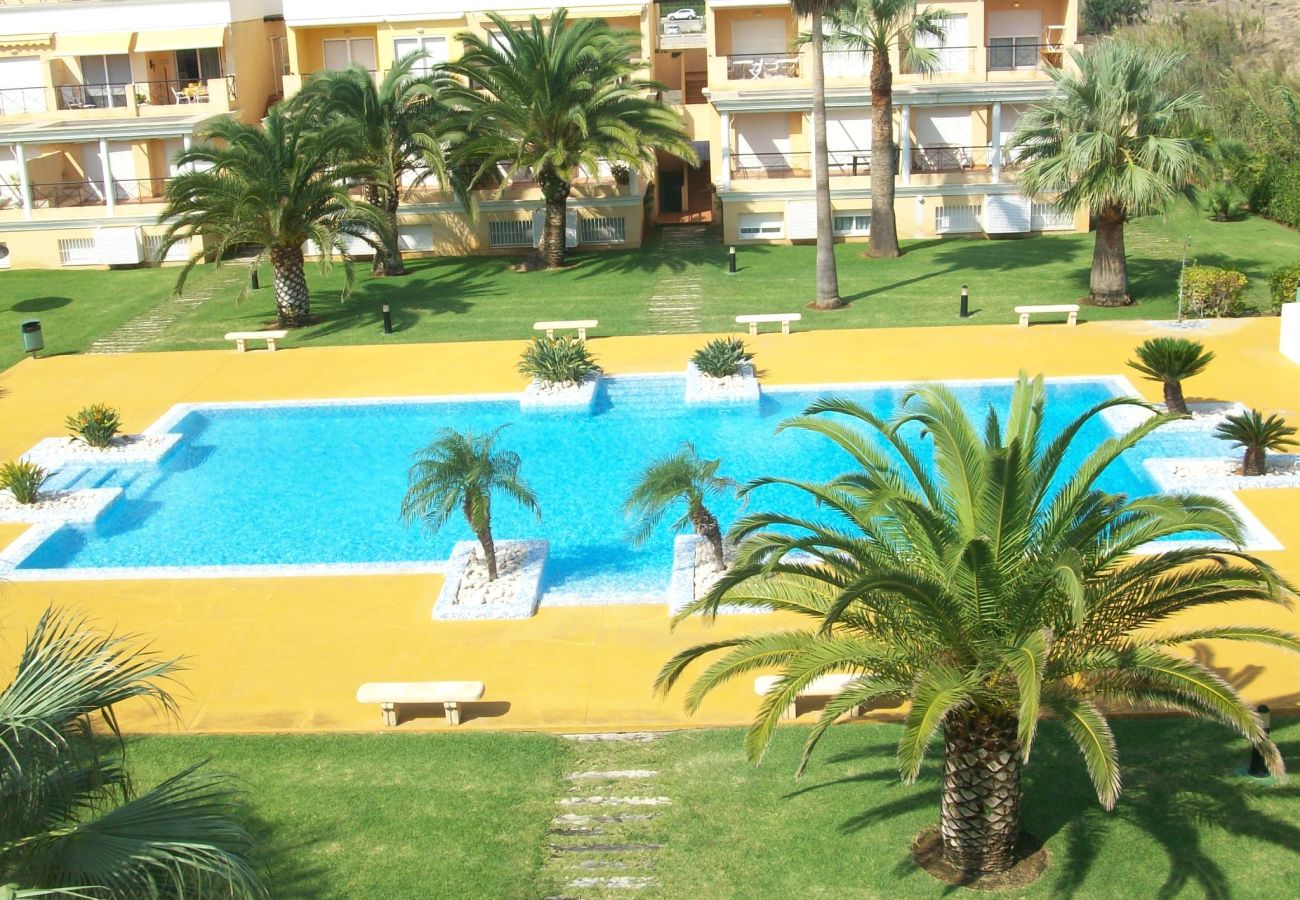 Apartamento en Oliva - CASAS DEL MAR 7ª - 1º - 21ª