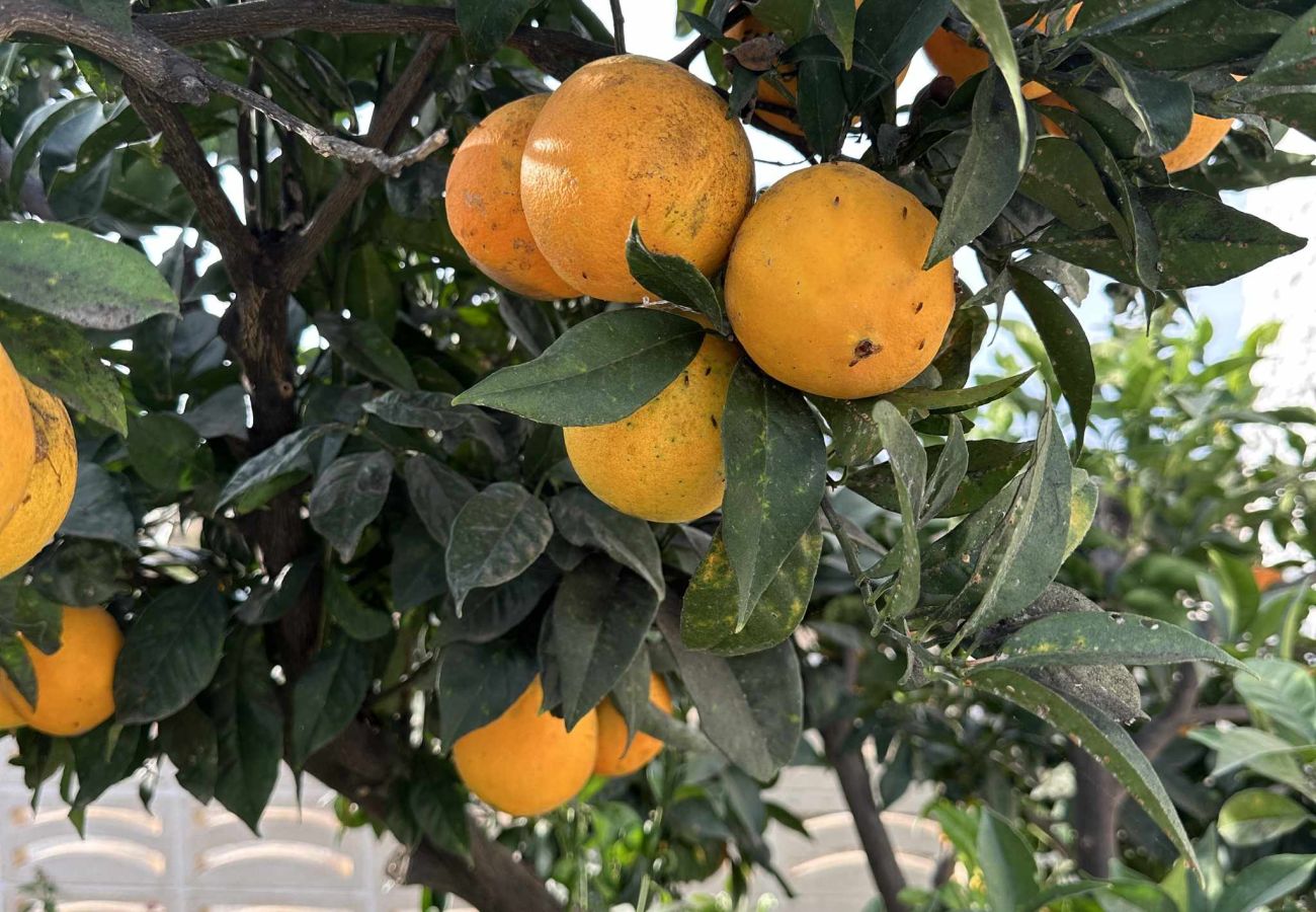 Villa en Nerja - Villa La Casita Fuente del Baden 52 by Casasol