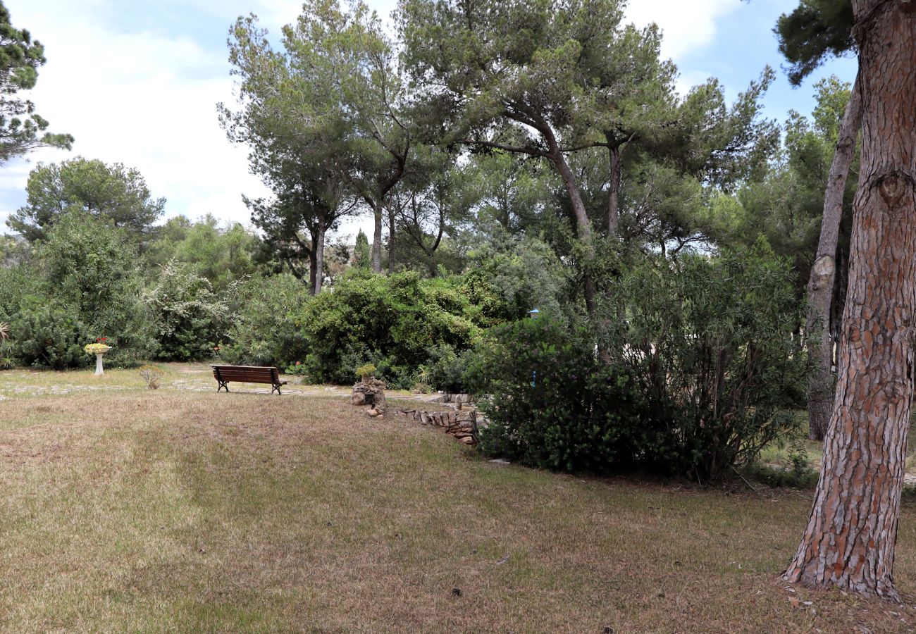 Estudio en Peñiscola - Puerto Azul Estudio playavacaciones