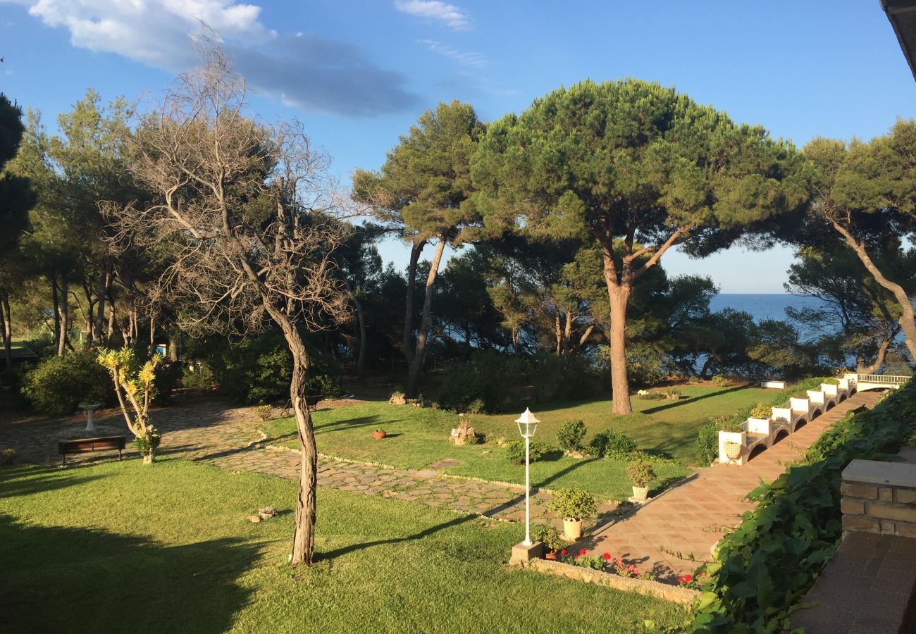 Estudio en Peñiscola - Puerto Azul Estudio playavacaciones