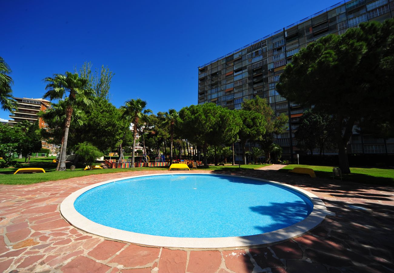 Apartamento en Benicàssim - PRINCICASIM 1D II-I-3-8