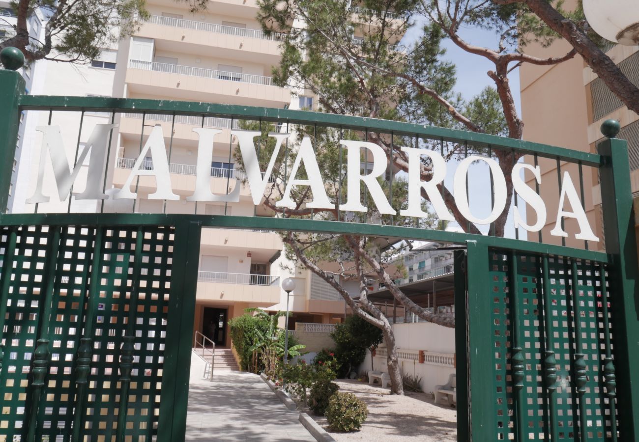 Apartamento en Cullera - MALVARROSA, 10º68