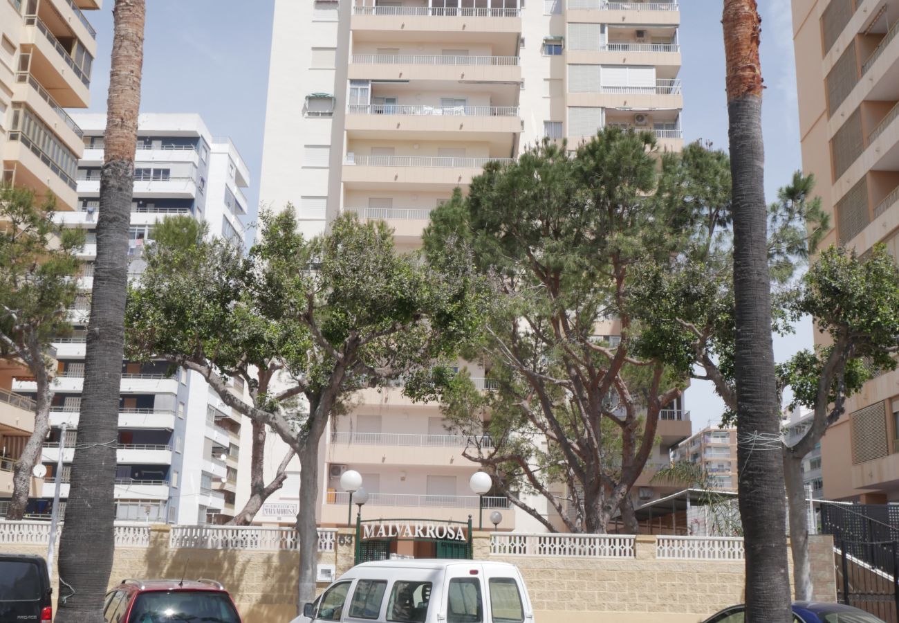 Apartamento en Cullera - MALVARROSA, 10º68