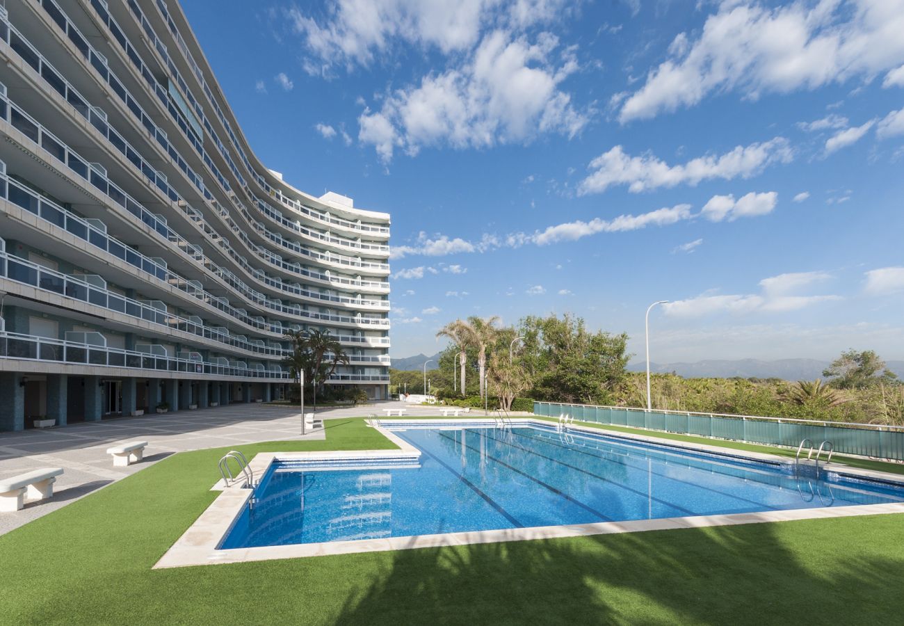 Apartamento en Playa de Gandía - 43. AG AIGUABLAVA 4-3