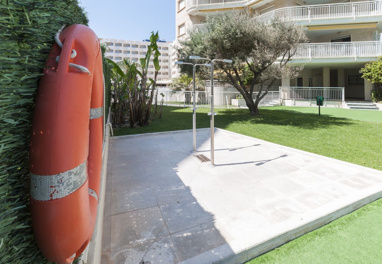 Apartamento en Playa de Gandía - 32. AG AGUAMARINA 2C