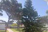 Chalet en Chiclana de la Frontera - R012 MORENA