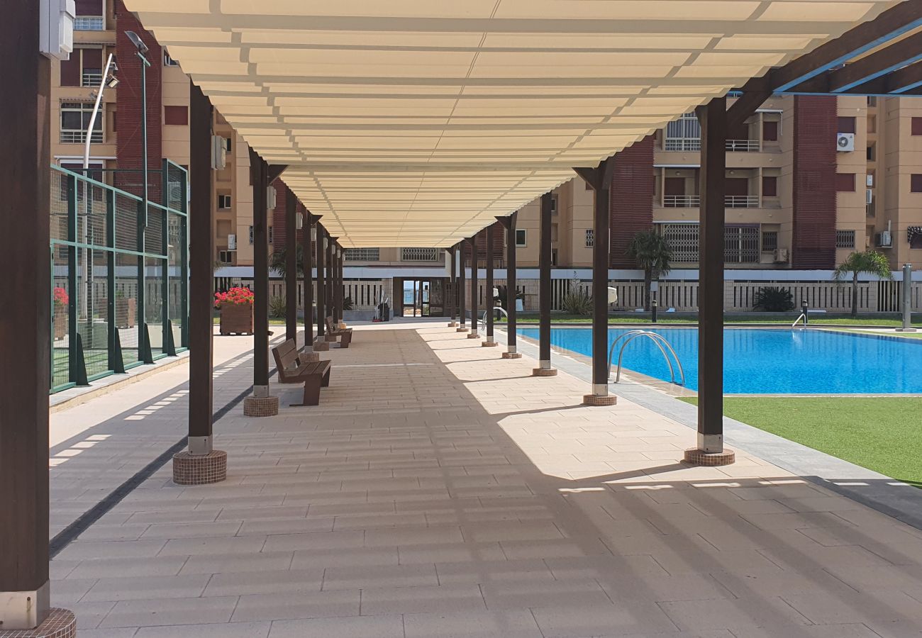 Apartamento en Gandia - BERMUDAS 1ª - 2º - B