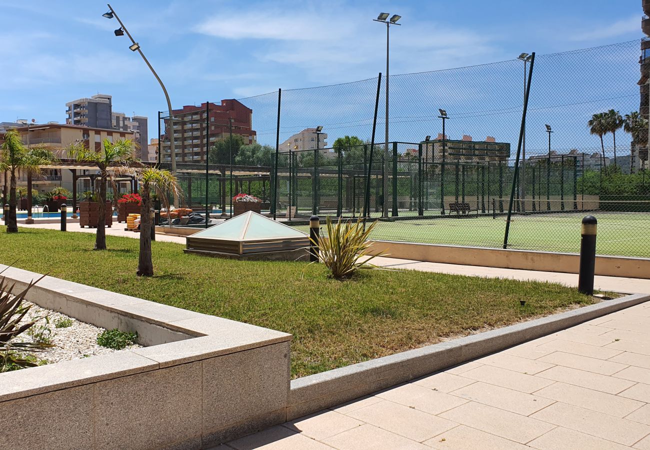 Apartamento en Gandia - BERMUDAS 1ª - 2º - B