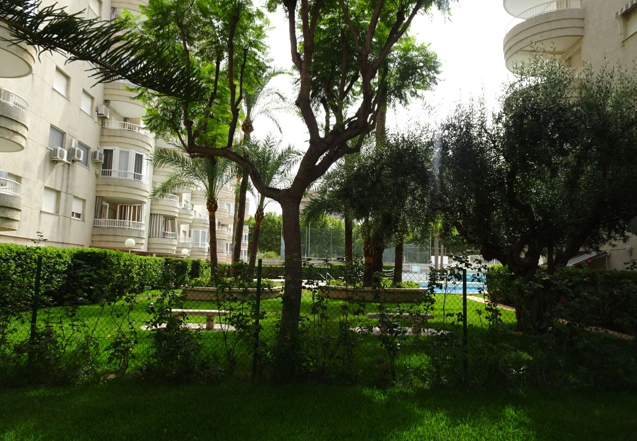 Apartamento en Gandia - TROPICANA PARK 18 - 3ª - 8º - 48ª