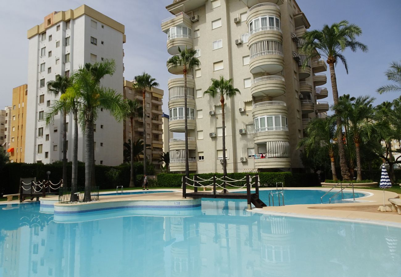 Apartamento en Gandia - TROPICANA PARK 18 - 3ª - 8º - 48ª