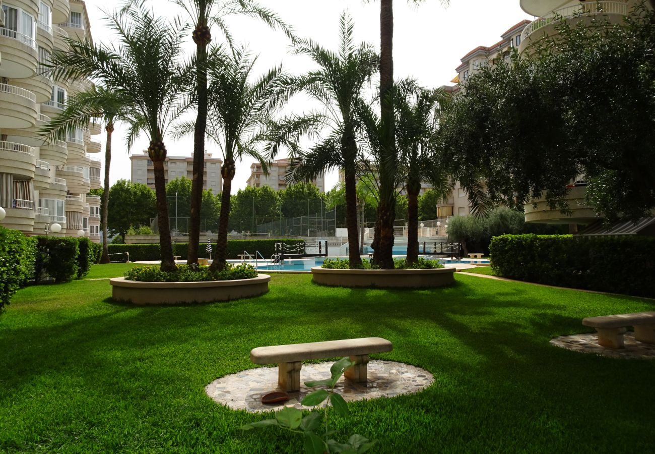 Apartamento en Gandia - TROPICANA PARK 18 - 3ª - 8º - 48ª