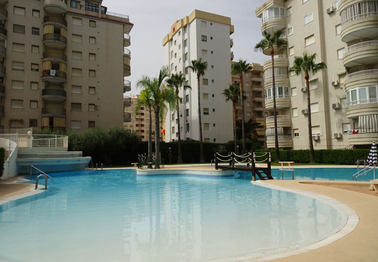 Apartamento en Gandia - TROPICANA PARK 18 - 3ª - 8º - 48ª