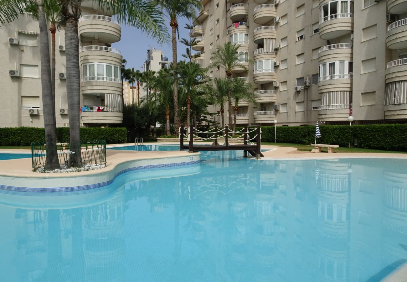 Apartamento en Gandia - TROPICANA PARK 18 - 3ª - 8º - 48ª